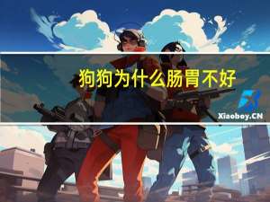 狗狗为什么肠胃不好