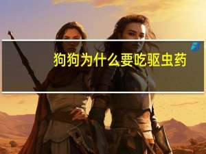 狗狗为什么要吃驱虫药