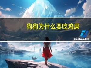 狗狗为什么要吃鸡屎
