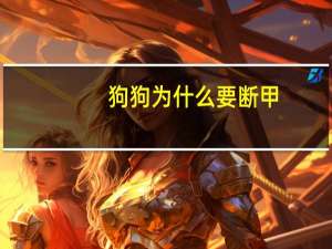 狗狗为什么要断甲