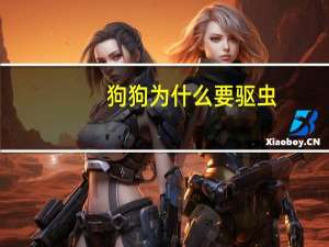 狗狗为什么要驱虫