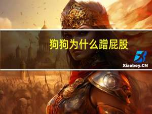 狗狗为什么蹭屁股