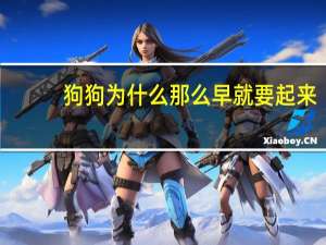 狗狗为什么那么早就要起来