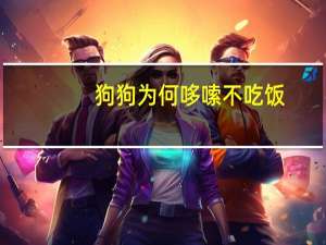 狗狗为何哆嗦不吃饭