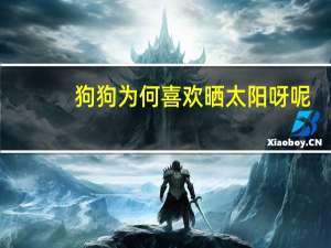 狗狗为何喜欢晒太阳呀呢