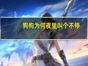 狗狗为何夜里叫个不停
