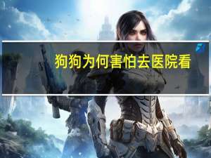 狗狗为何害怕去医院看