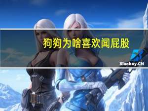 狗狗为啥喜欢闻屁股