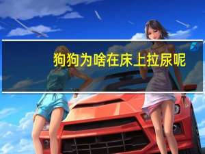 狗狗为啥在床上拉尿呢