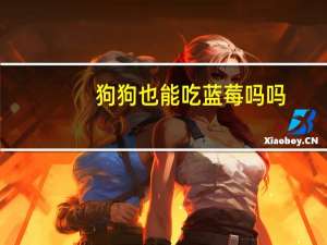 狗狗也能吃蓝莓吗吗