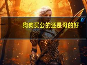 狗狗买公的还是母的好