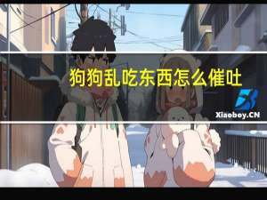 狗狗乱吃东西怎么催吐