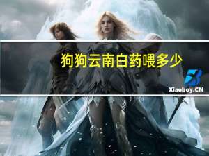 狗狗云南白药喂多少