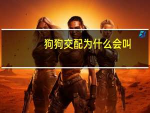狗狗交配为什么会叫