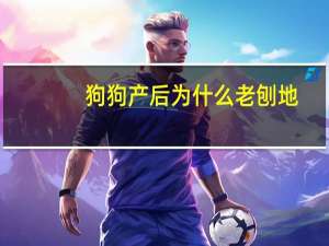 狗狗产后为什么老刨地