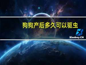狗狗产后多久可以驱虫