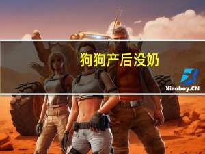 狗狗产后没奶