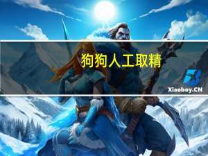 狗狗人工取精