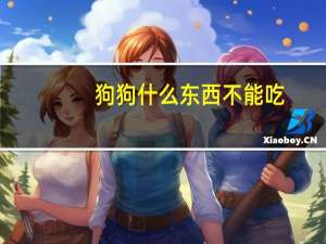 狗狗什么东西不能吃