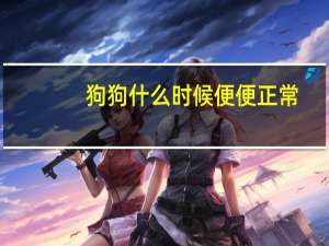 狗狗什么时候便便正常