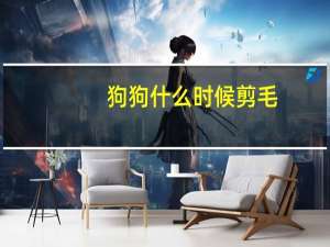 狗狗什么时候剪毛