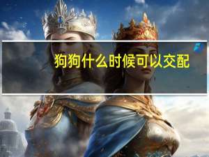 狗狗什么时候可以交配