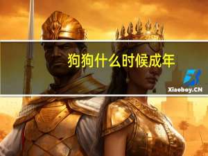 狗狗什么时候成年