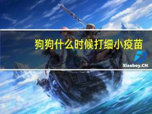 狗狗什么时候打细小疫苗