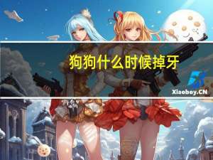 狗狗什么时候掉牙