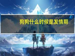 狗狗什么时候是发情期