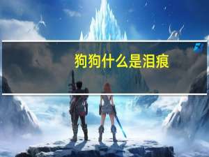 狗狗什么是泪痕