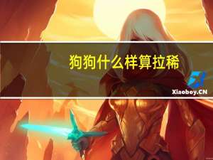 狗狗什么样算拉稀