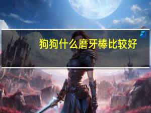 狗狗什么磨牙棒比较好
