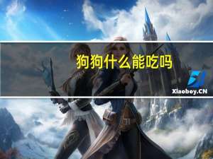 狗狗什么能吃吗