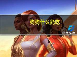 狗狗什么能吃