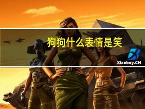 狗狗什么表情是笑