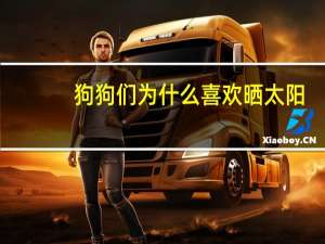 狗狗们为什么喜欢晒太阳