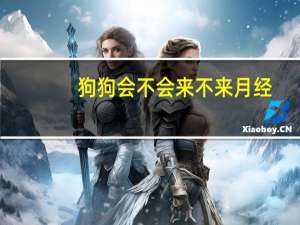 狗狗会不会来不来月经