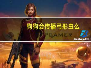 狗狗会传播弓形虫么