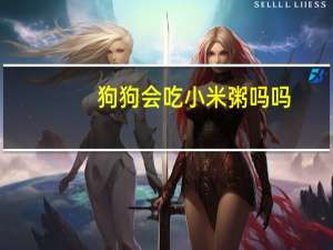 狗狗会吃小米粥吗吗