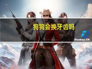 狗狗会换牙齿吗