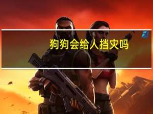 狗狗会给人挡灾吗