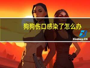 狗狗伤口感染了怎么办