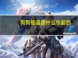 狗狗低温是什么引起的