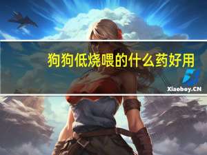 狗狗低烧喂的什么药好用