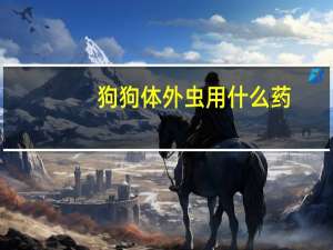 狗狗体外虫用什么药