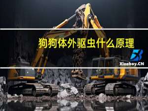 狗狗体外驱虫什么原理