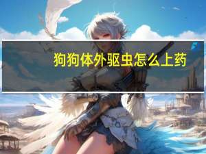 狗狗体外驱虫怎么上药