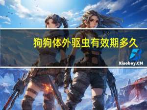 狗狗体外驱虫有效期多久