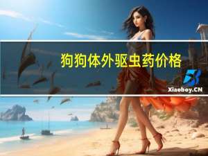 狗狗体外驱虫药价格